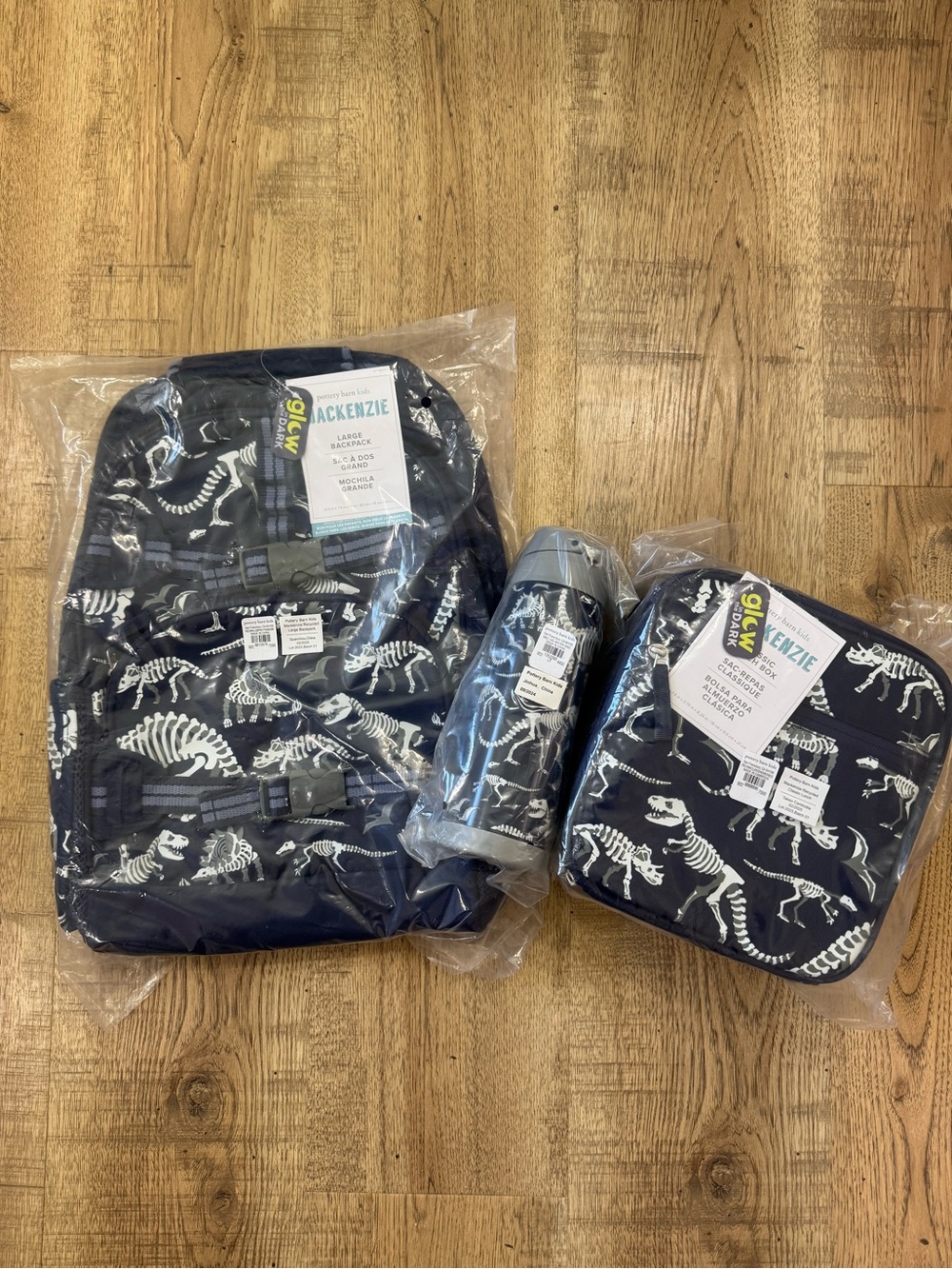 Pottery Barn Kids Navy Dinosaur Skeleton Backpack Set